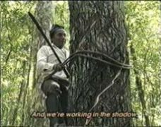 Chiclero klättrar upp i Chicozapote-trädet och hugger ut fåror.